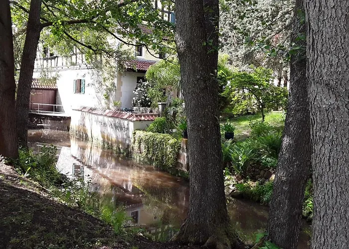 Hotel-restaurant Bergmuehle 3*